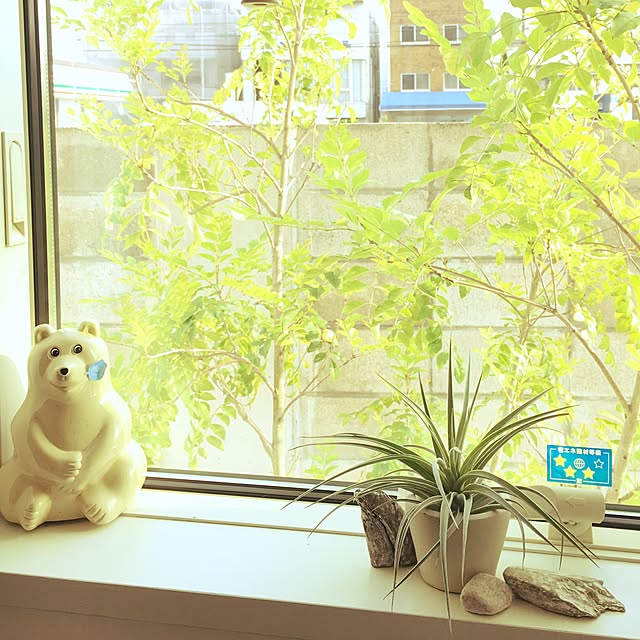 sakineko528さんの実例写真