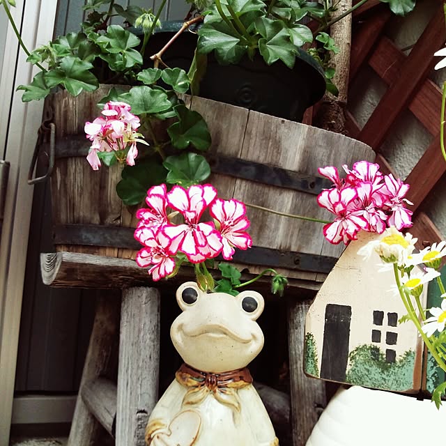 asa0521さんの実例写真