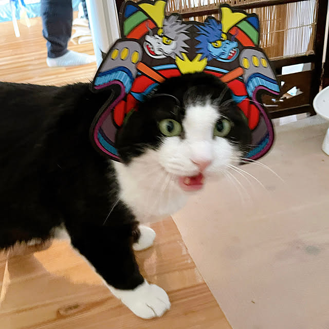 stripeblueさんの実例写真