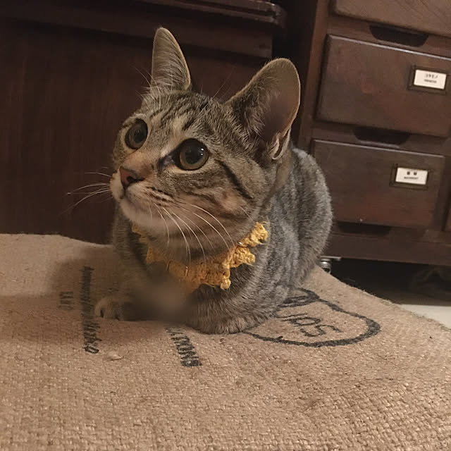 Mさんの実例写真