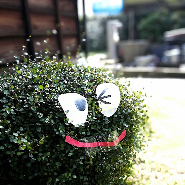 nao_nodaさんの実例写真