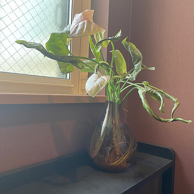 ikuzakさんの部屋