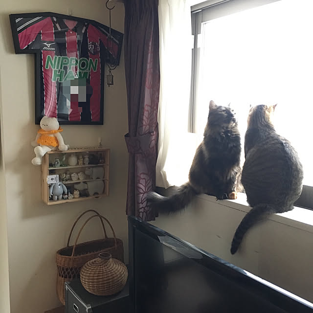 mikomaruさんの実例写真