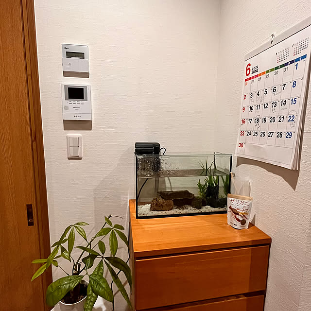 Attaさんの実例写真