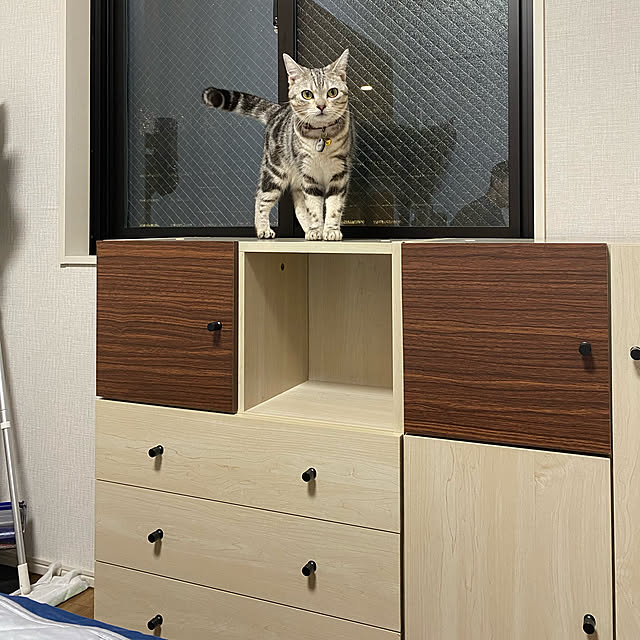 mika3939さんの実例写真