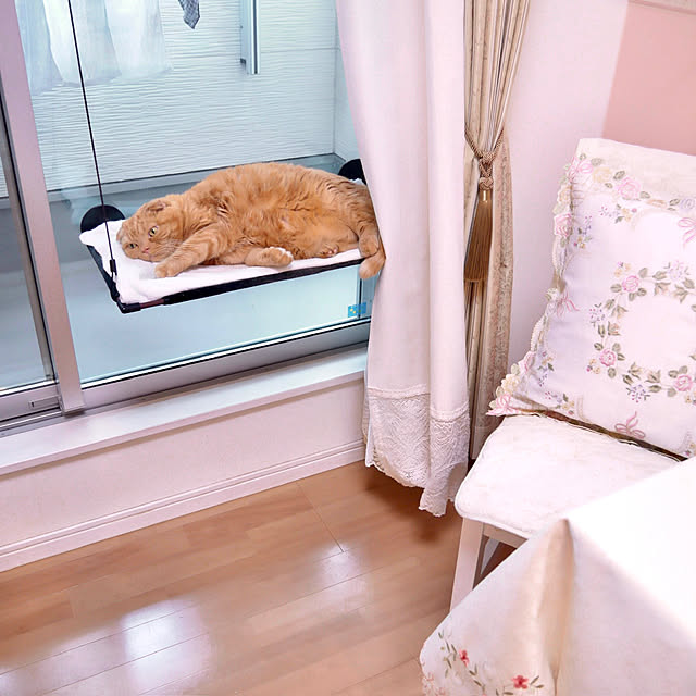 pinaminさんの部屋
