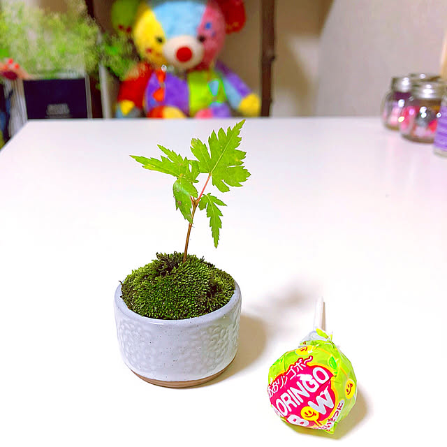 koyuriさんの実例写真