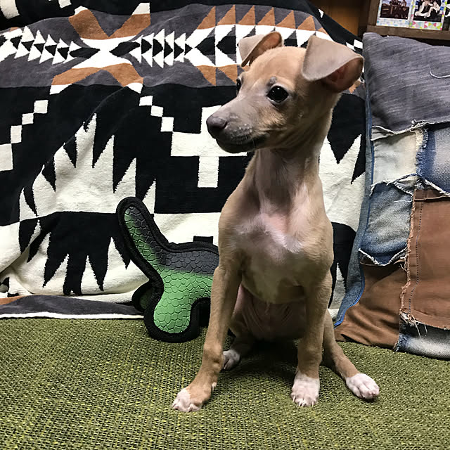 koさんの実例写真