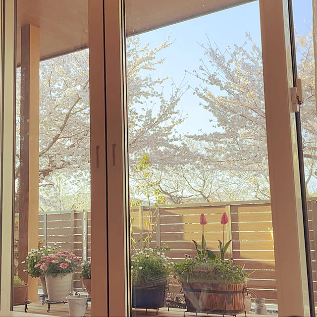 TYK_HOMEさんの実例写真