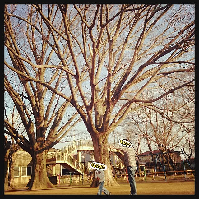urchinさんの実例写真