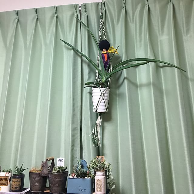 tetra163さんの実例写真