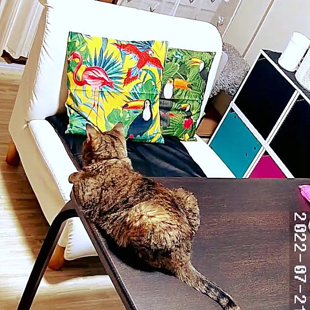 runaさんの実例写真