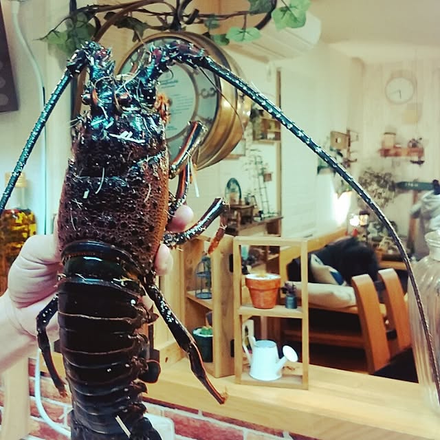 akikoさんの実例写真