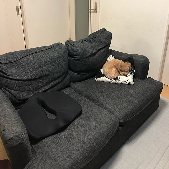 akiasaさんの実例写真