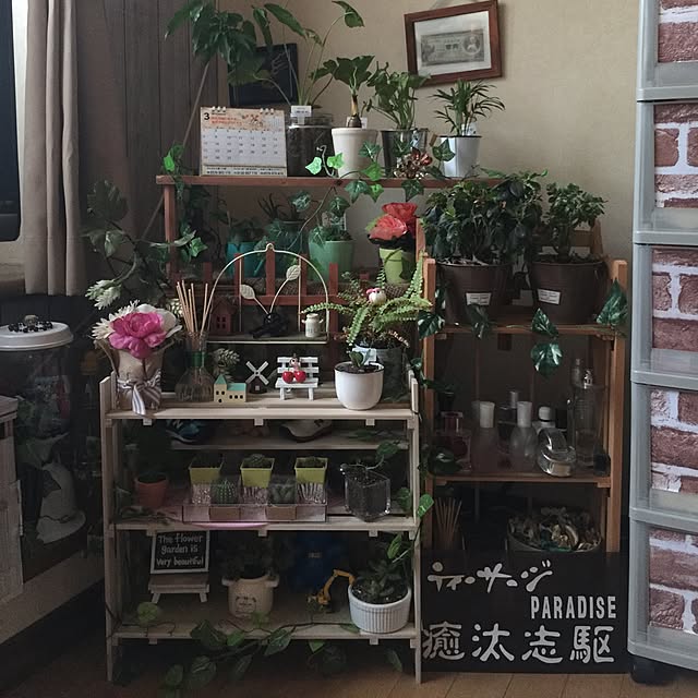 kabukoさんの実例写真