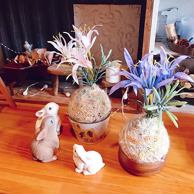 portulacaさんの実例写真