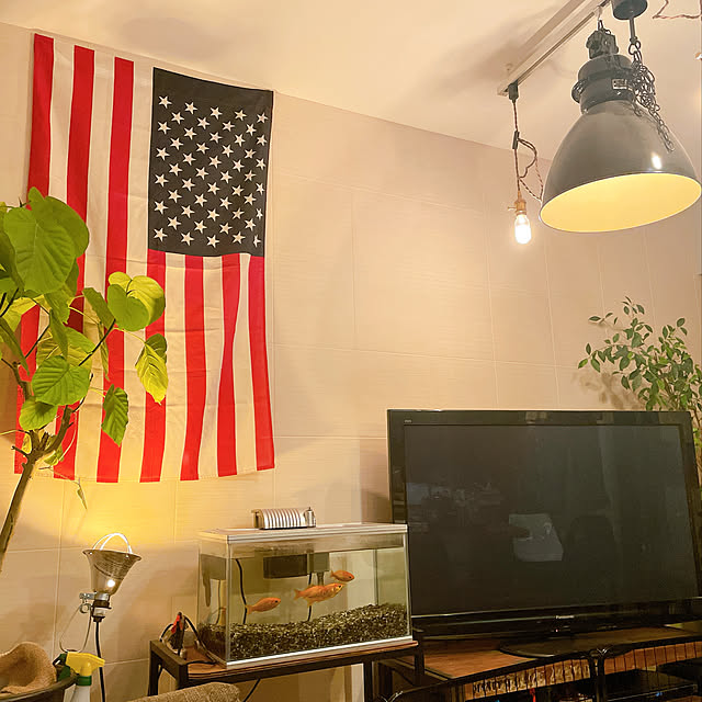 Liuさんの実例写真