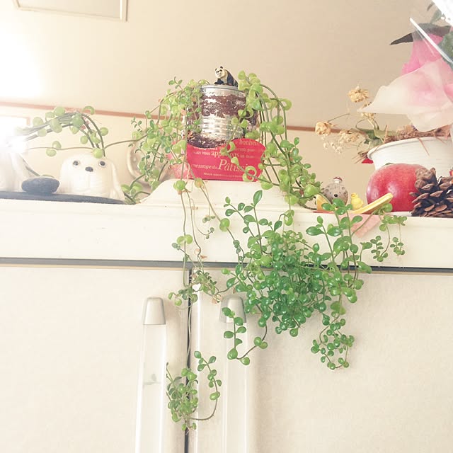 yukiさんの実例写真