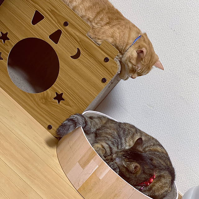 chiiさんの実例写真