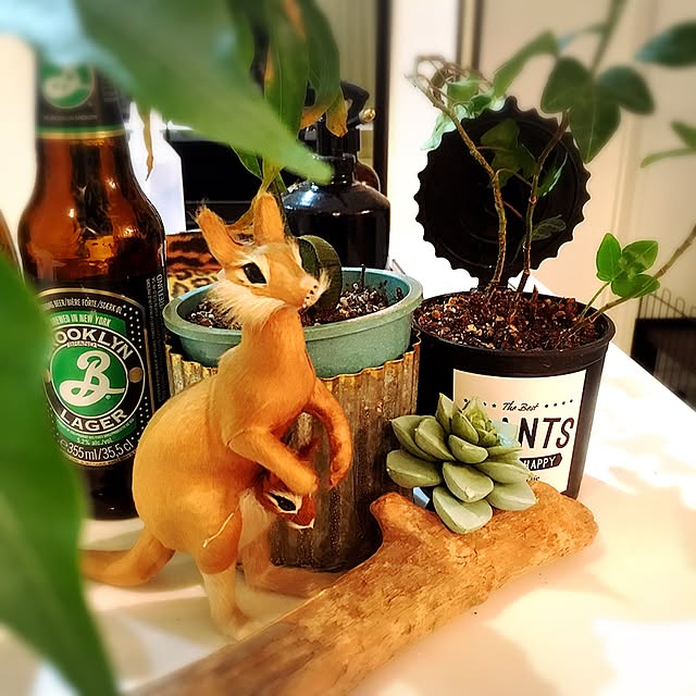 cocoyveさんの実例写真