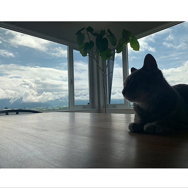 cocokuro0124さんの実例写真