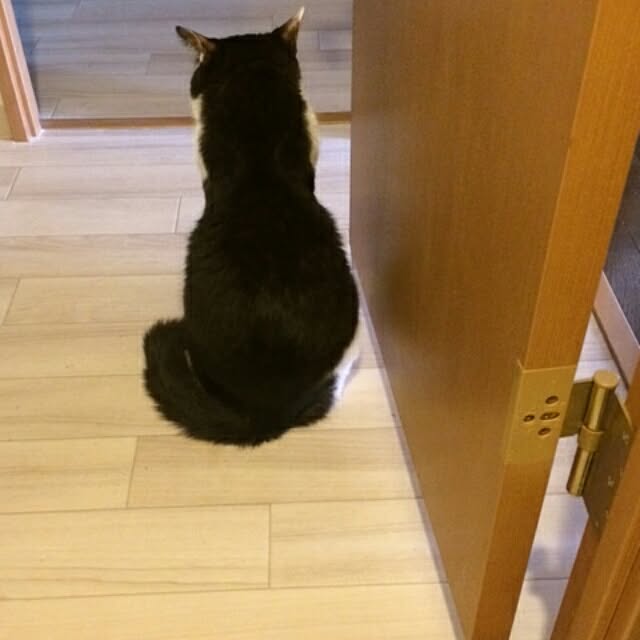 mika.888さんの実例写真