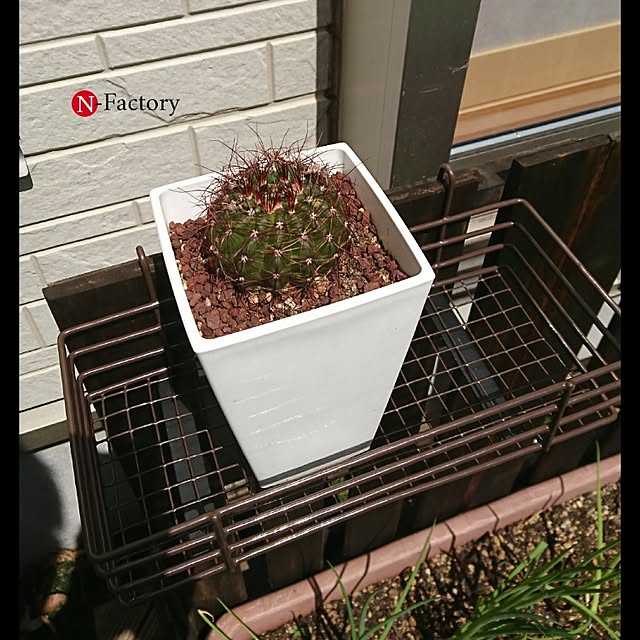 N-Factoryさんの実例写真