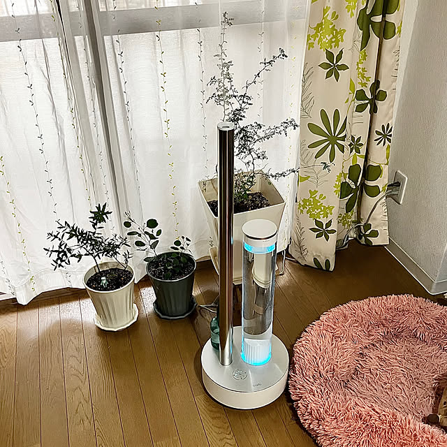 kagomamaさんの実例写真