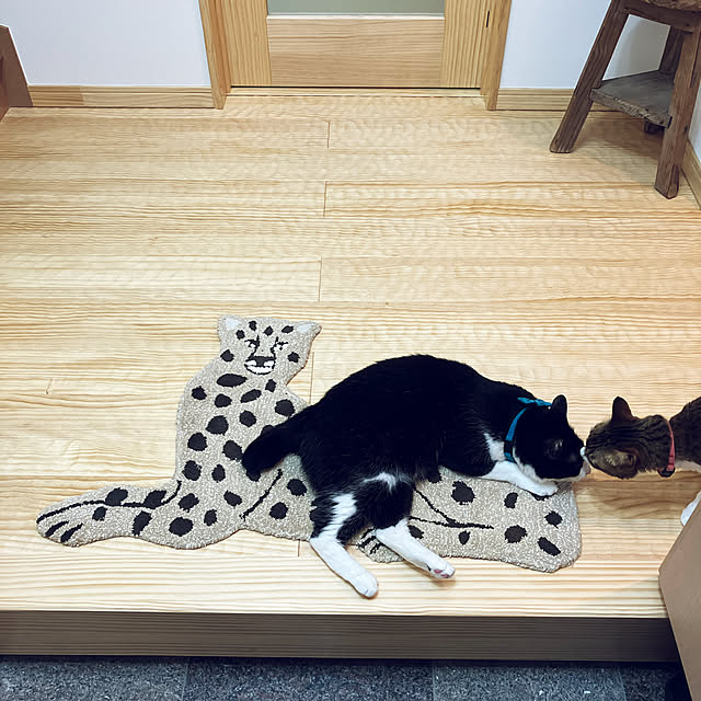 haruさんの実例写真