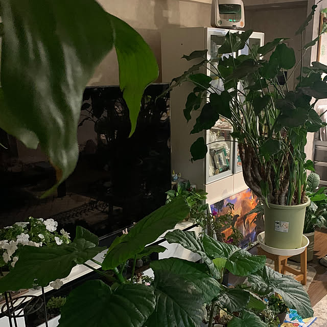Aqettyさんの部屋