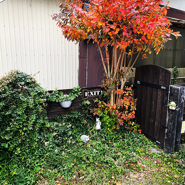 hiro.637さんの実例写真