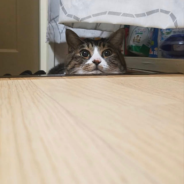 sachikoさんの実例写真