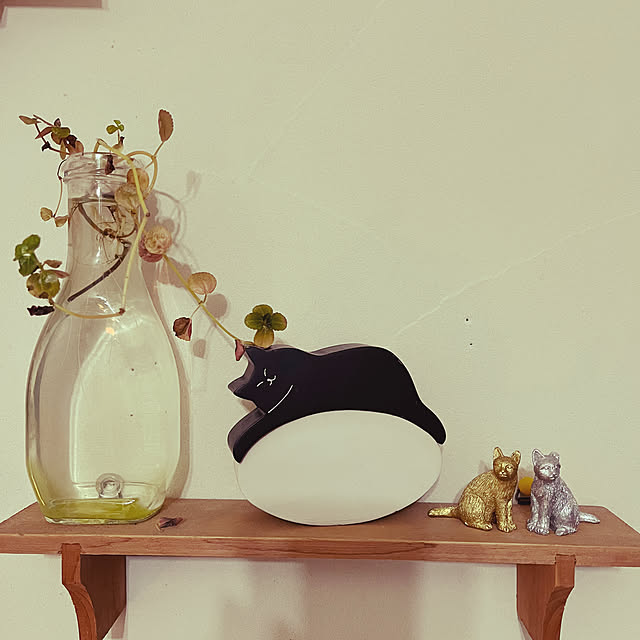 Toyomiさんの部屋