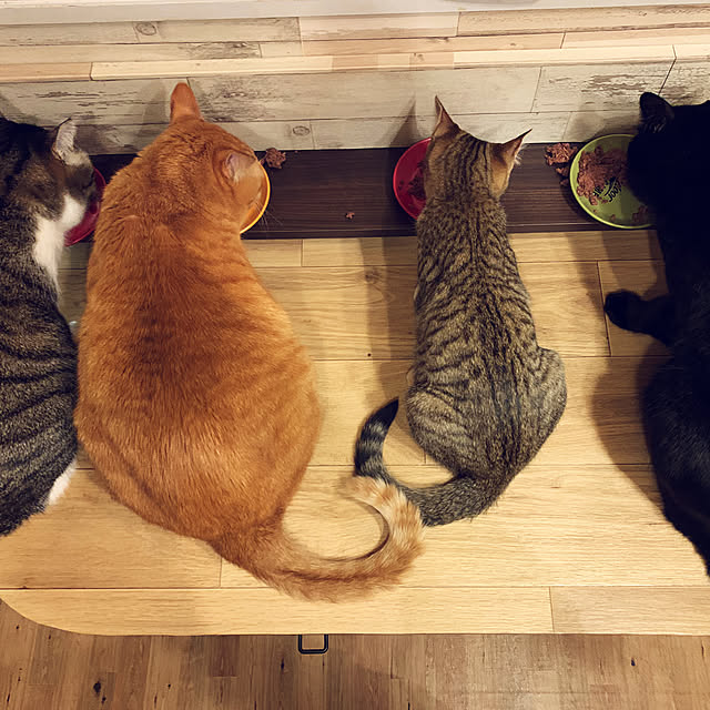 rioさんの部屋