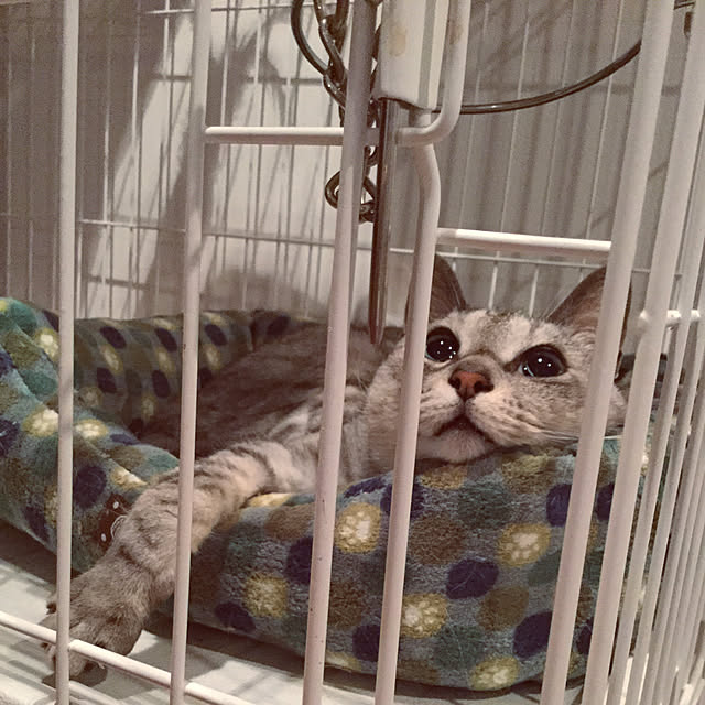 maroさんの実例写真