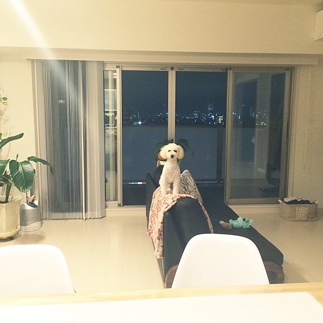 Kiiiyooopoooさんの実例写真