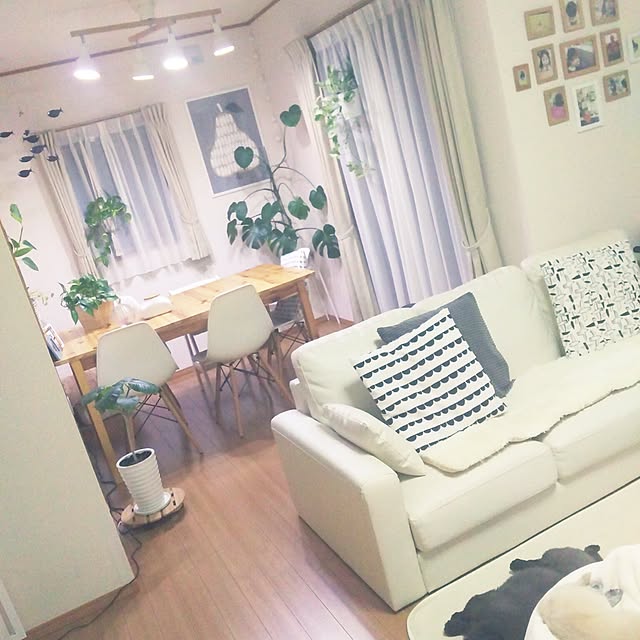 miruban1010さんの実例写真