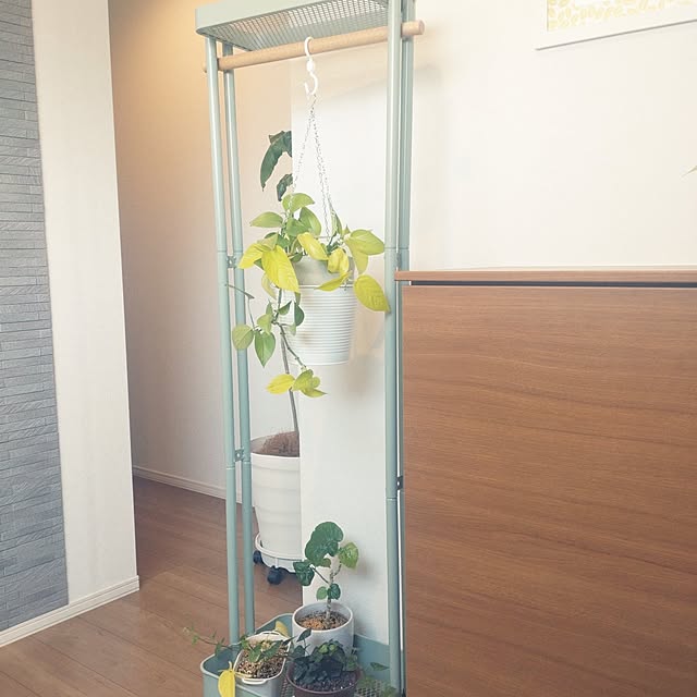 tan5さんの部屋