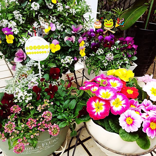 katさんの実例写真