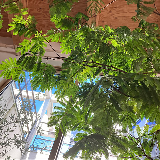 green.green.greenさんの実例写真