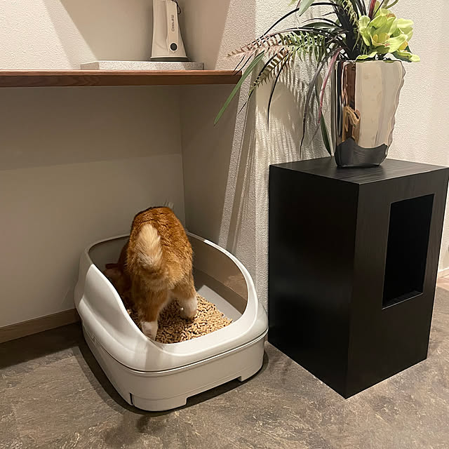 maimaiさんの部屋