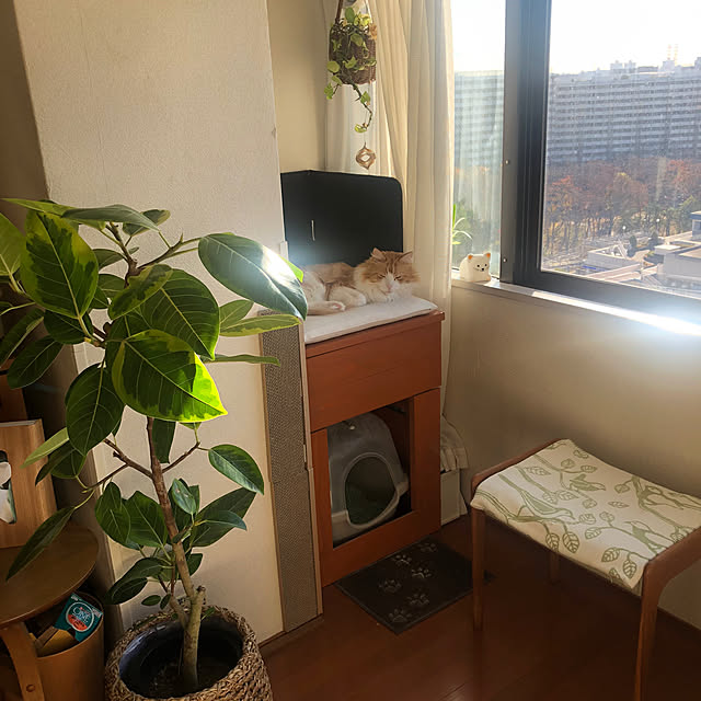 uchidaizuさんの実例写真