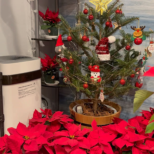 bonjiri0824さんの実例写真