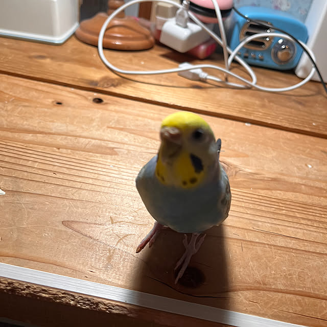 Atsukoさんの部屋