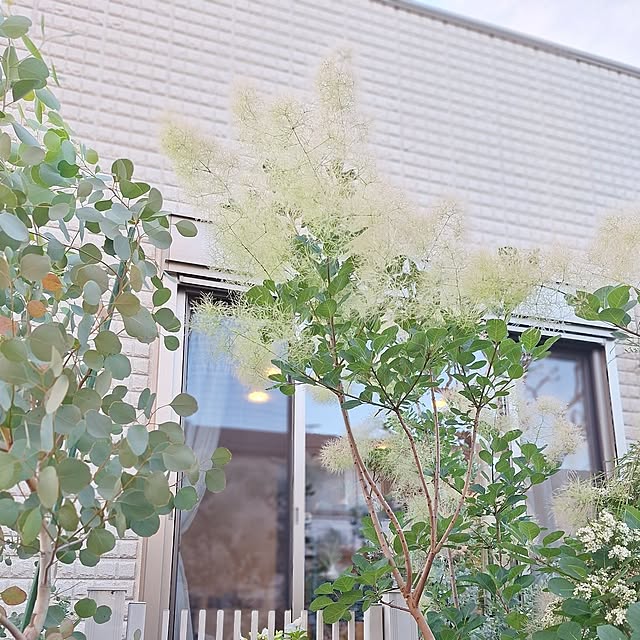 souさんの部屋