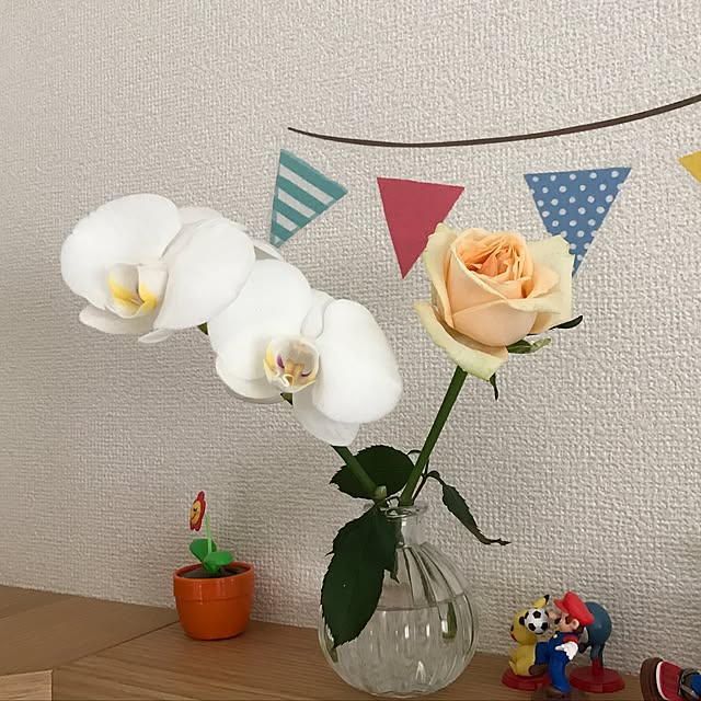 kotoさんの実例写真