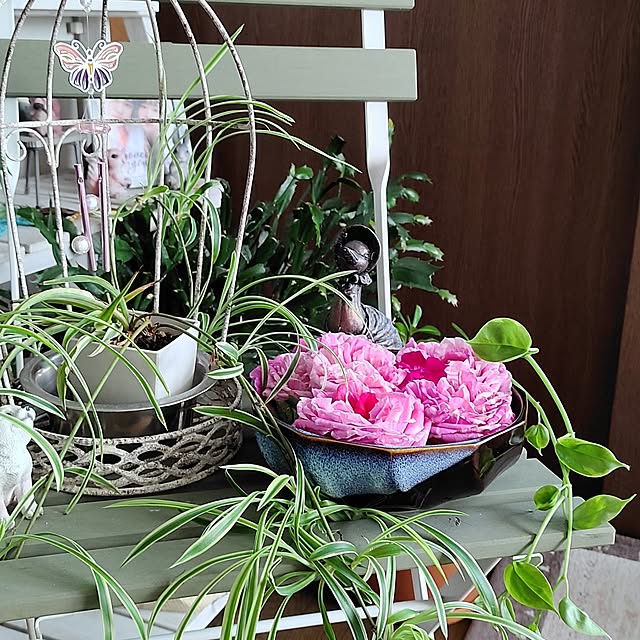 kiraさんの部屋
