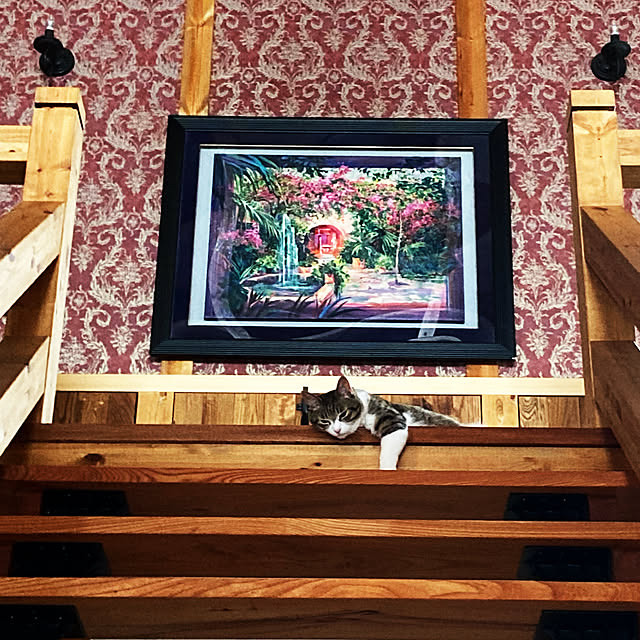 a.kagetoraさんの実例写真