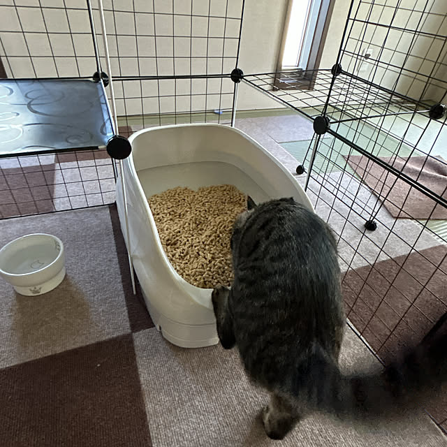 yunyumさんの部屋