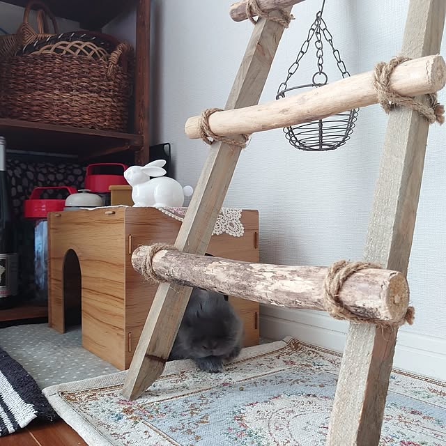 kirariさんの実例写真